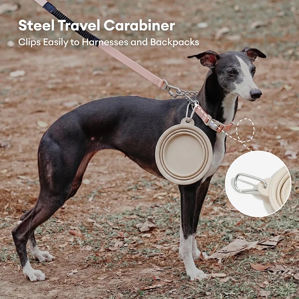 Collapsible Silicone Dog Bowl-Urban Roaming - Pet Bowls, Feeders & Wa... detail view 3 | Petix pet supplies for dogs and cats