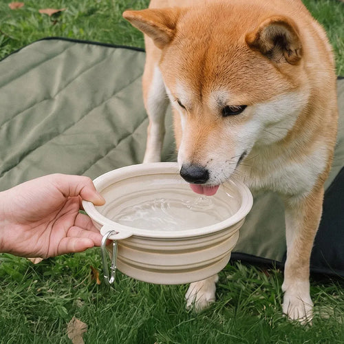 Collapsible Silicone Dog Bowl-Urban Roaming - Pet Bowls, Feeders... main product image | Petix pet supplies for dogs and cats