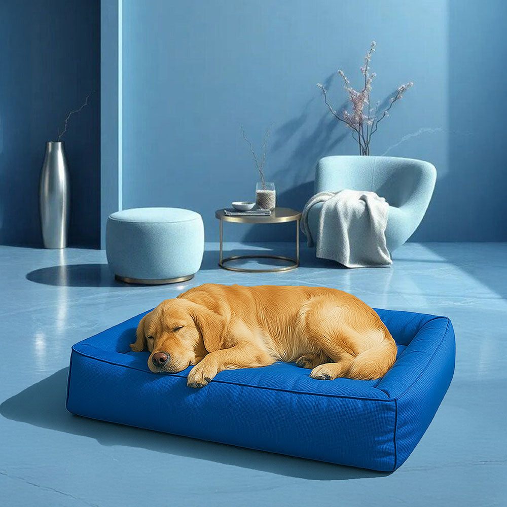 Fully Orthopedic Surround Support Waterproof Large Outdoor Dog Bed