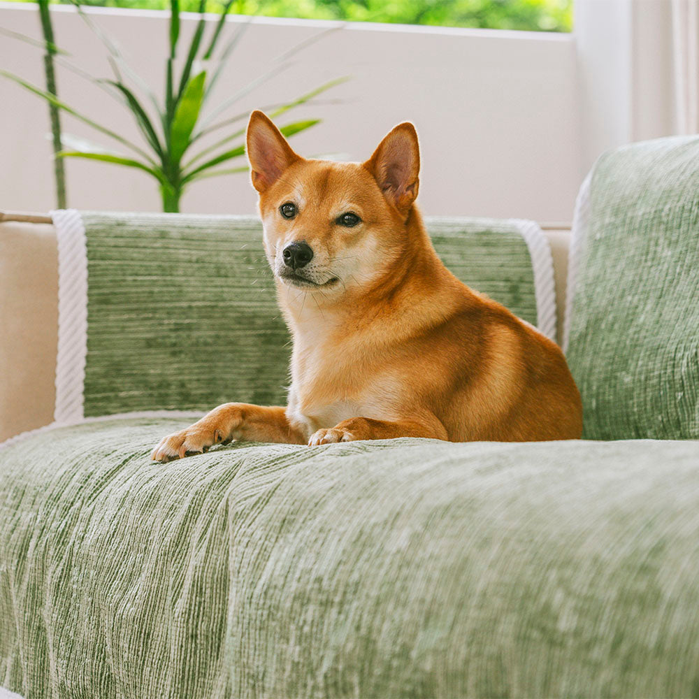 All-Season Anti-Slip Striped Pet Rug Furniture Protector with Armres... detail view 13 | Petix pet supplies for dogs and cats
