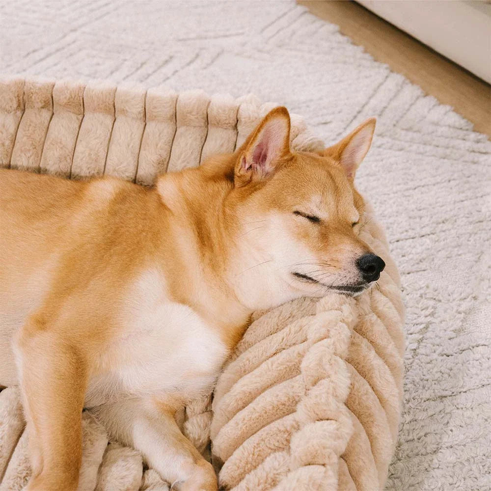 Plush Warmth Removable Orthopedic Wedge Bolster Dog Sofa Bed - CozySl... detail view 8 | Petix pet supplies for dogs and cats