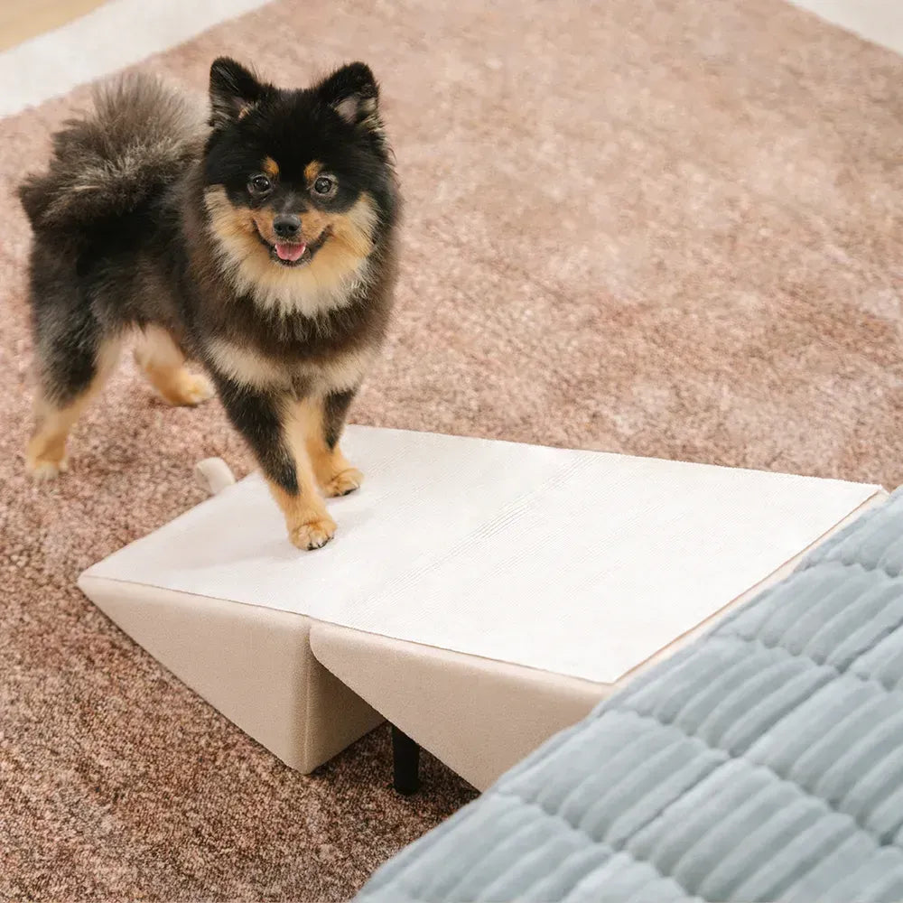 2-in-1 Convertible Wooden Home Step Stool Dog Ramp Stairs - Dog Stairs detail view 10 | Petix pet supplies for dogs and cats