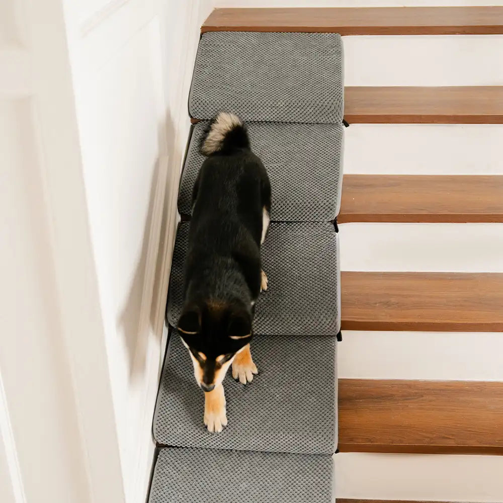Modular Foam Dog Ramp Stairs for Staircase Stairs with Velcro - Dog... detail view 12 | Petix pet supplies for dogs and cats