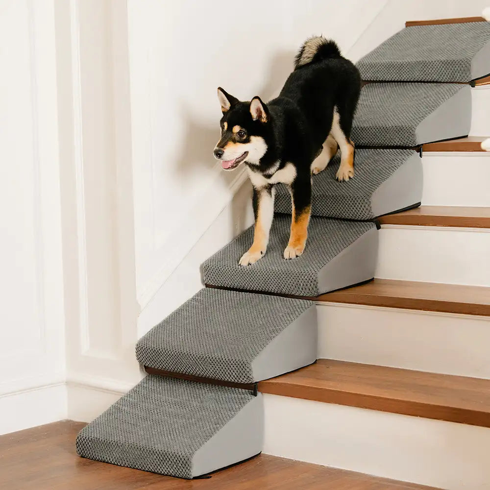 Modular Foam Dog Ramp Stairs for Staircase Stairs with Velcro... main product image | Petix pet supplies for dogs and cats
