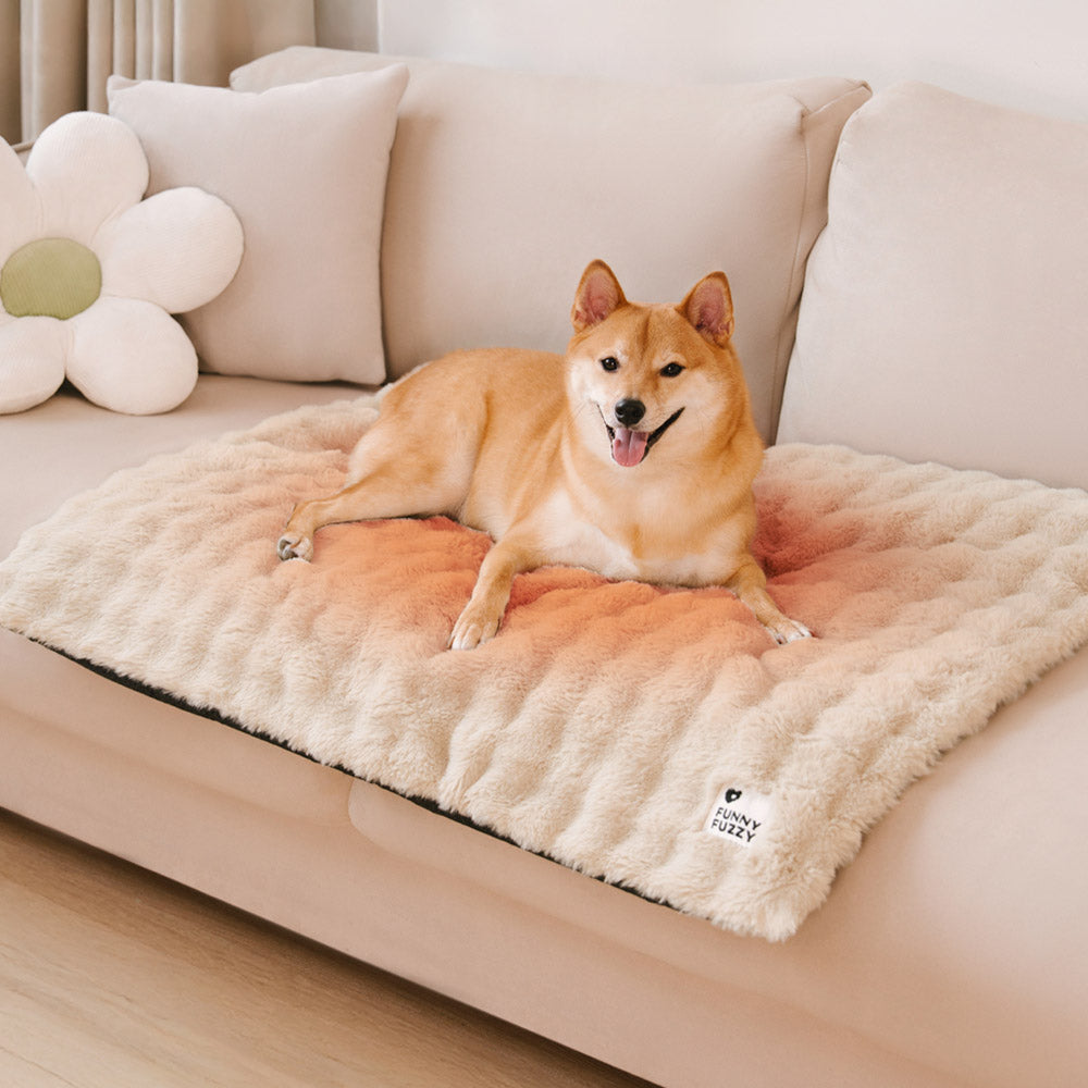Cozy Plush Warm Washable and Portable Pet Mat - ThermoPad - Dog Beds detail view 2 | Petix pet supplies for dogs and cats