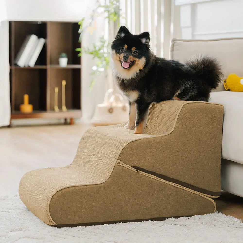 Multifunctional 2-in-1 Foldable Dog Stairs with Ramp Mod... lifestyle and size view 12 | Petix pet supplies for dogs and cats