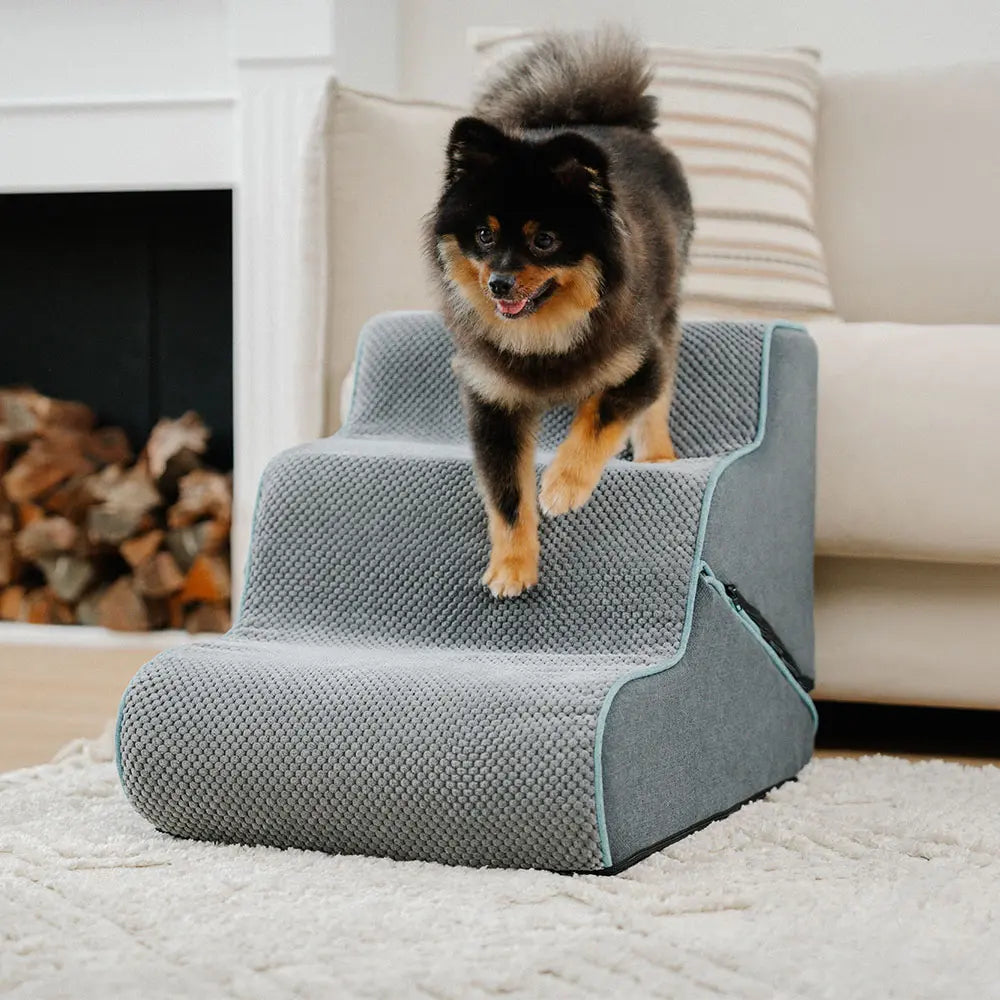 Multifunctional 2-in-1 Foldable Dog Stairs with Ramp Mode - Dog Stairs detail view 10 | Petix pet supplies for dogs and cats