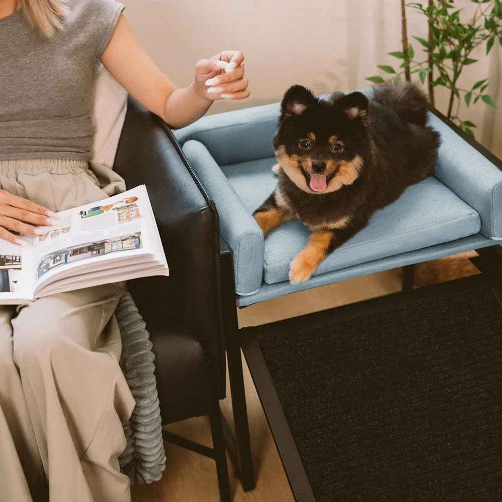 Elevated Pet Sofa Bed with Stairs Ramp for Bedside Loung... lifestyle and size view 16 | Petix pet supplies for dogs and cats