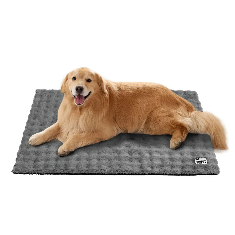 Cozy Plush Warm Washable and Portable Pet Mat - ThermoPad - Dog Beds detail view 15 | Petix pet supplies for dogs and cats