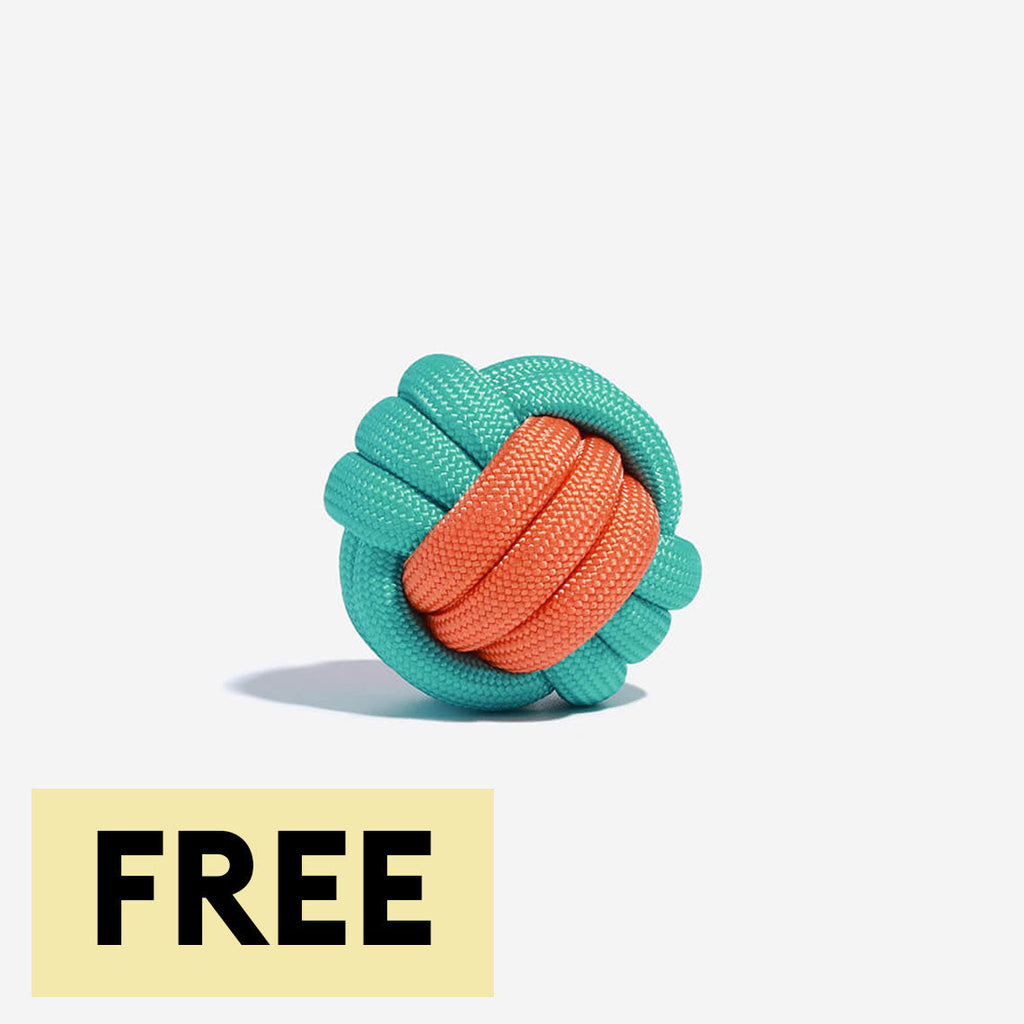Knots Ball Throwing Dog Toys - Color Clash - Dog Toys main product image | Petix pet supplies for dogs and cats