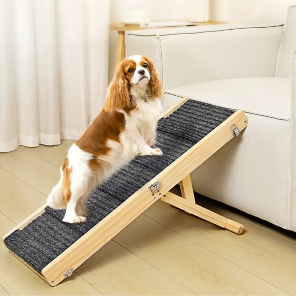 Wooden Dog Ramp 4 Levels Height Adjustable Foldable Dog Stairs... main product image | Petix pet supplies for dogs and cats