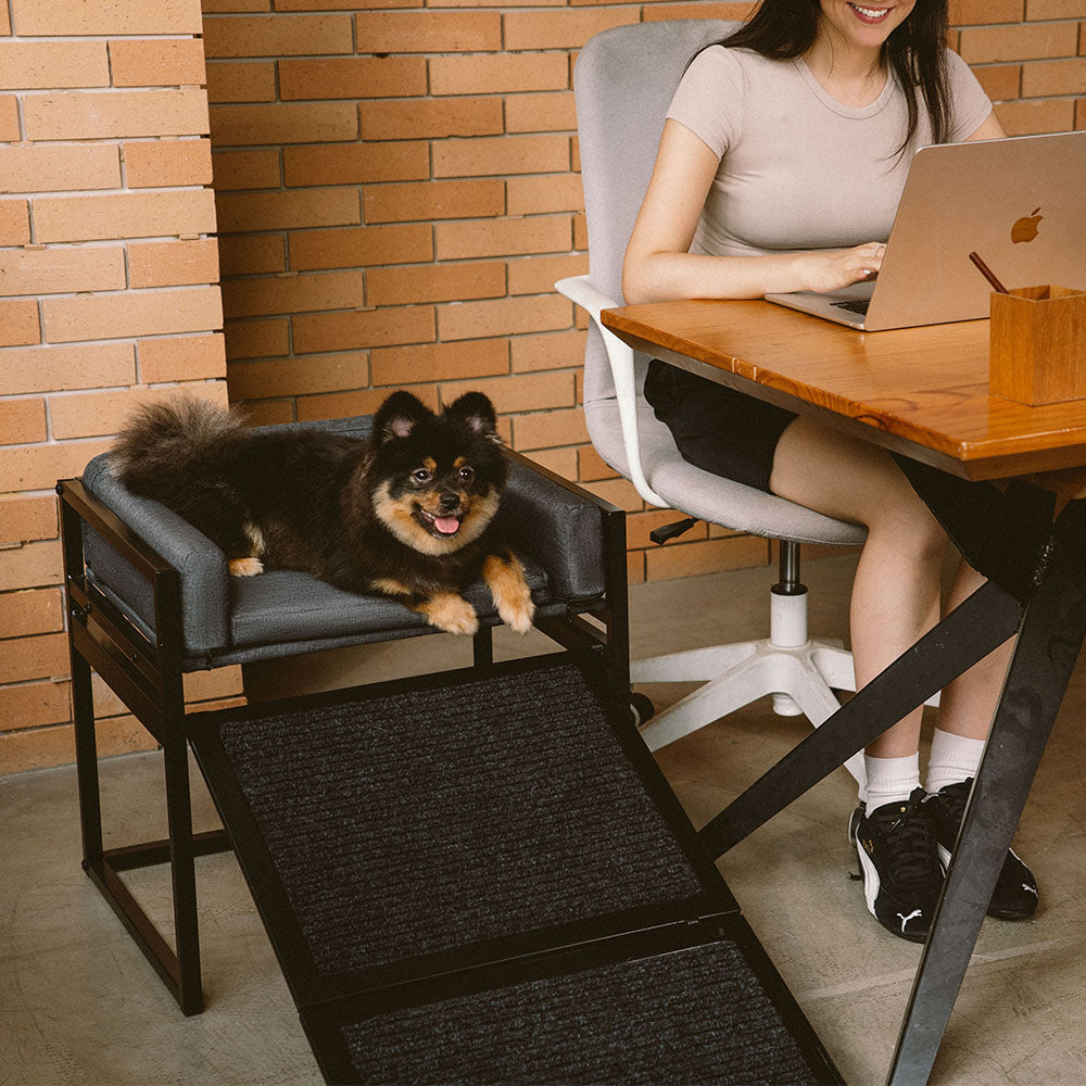 Elevated Pet Sofa Bed with Stairs Ramp for Bedside Lounge or Dog Win... detail view 10 | Petix pet supplies for dogs and cats
