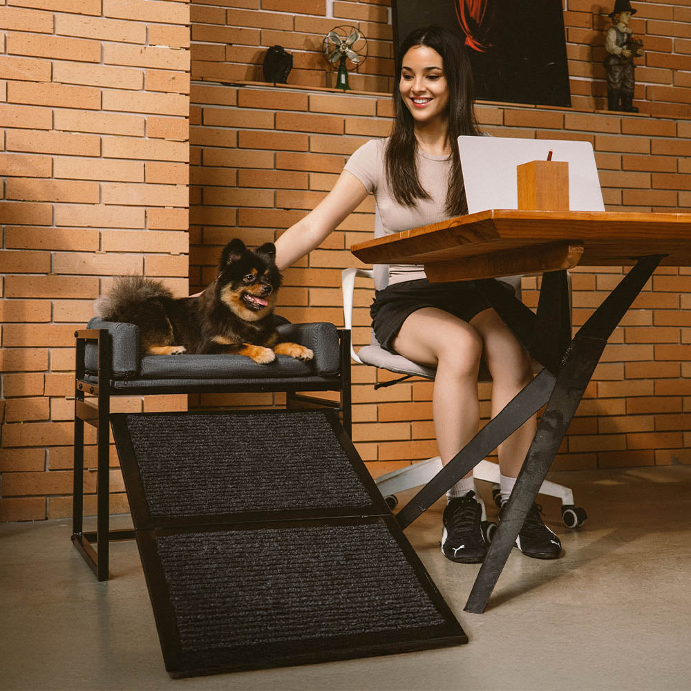 Elevated Pet Sofa Bed with Stairs Ramp for Bedside Lounge or Dog... main product image | Petix pet supplies for dogs and cats