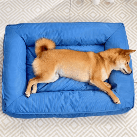 Fully Orthopedic Surround Support Waterproof Large Outdoor Dog Bed