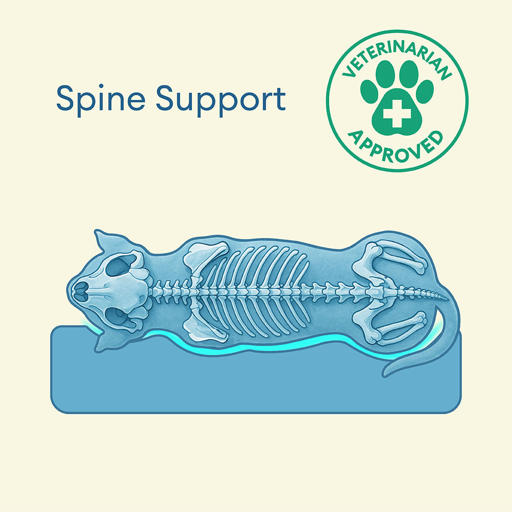 Fully Orthopedic Surround Support Waterproof Large Outdoor Dog Bed... detail view 7 | Petix pet supplies for dogs and cats
