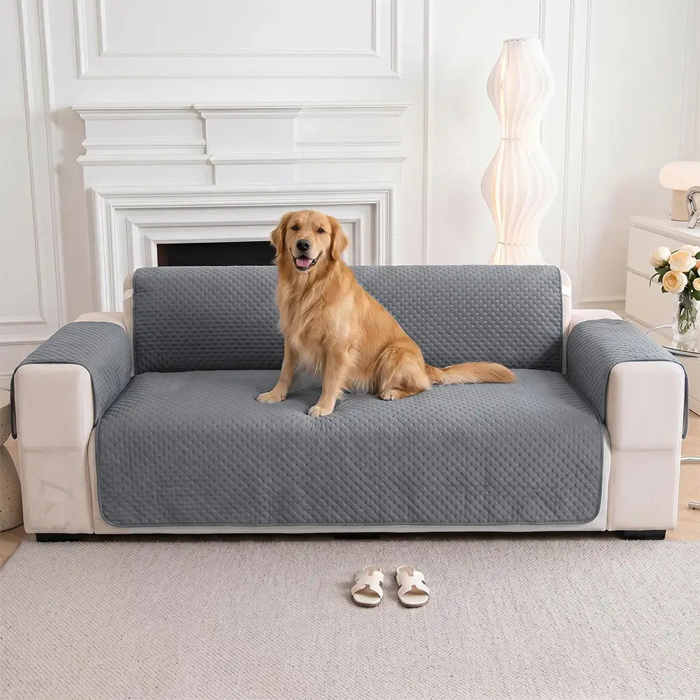 Water-Repellent Solid Color One Piece Couch Cover with Elastic S... main product image | Petix pet supplies for dogs and cats