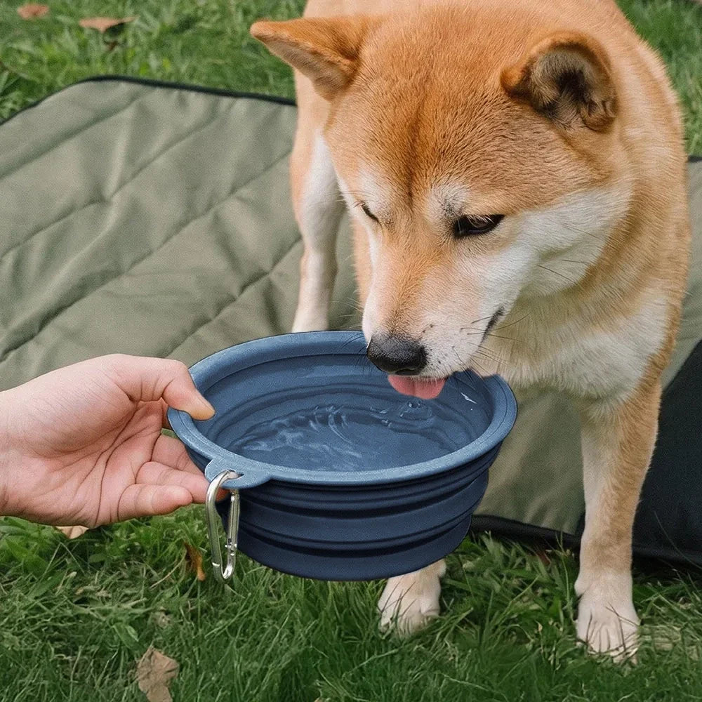 Collapsible Silicone Dog Bowl-Urban Roaming - Pet Bowls... lifestyle and size view 9 | Petix pet supplies for dogs and cats