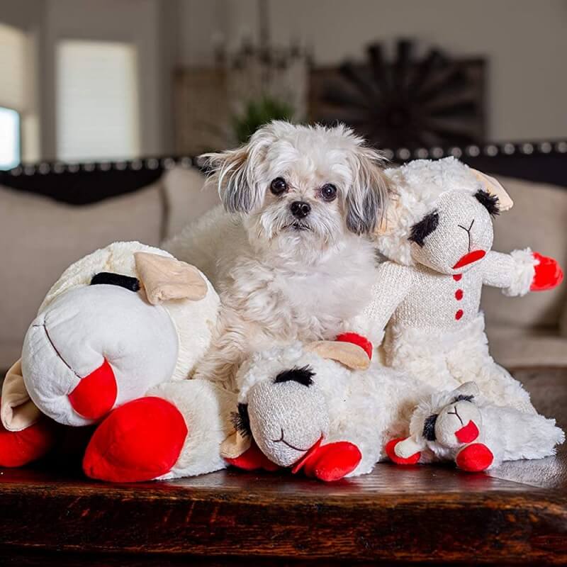 Plush Lamb Squeaker Toy Dog Interactive Toys - Dog Toys detail view 2 | Petix pet supplies for dogs and cats