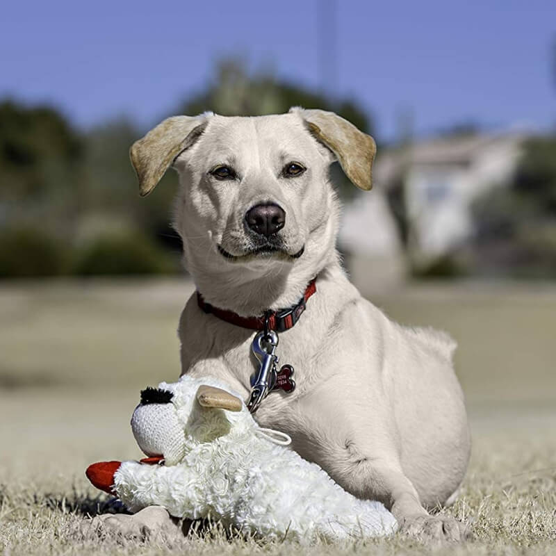 Plush Lamb Squeaker Toy Dog Interactive Toys - Dog Toys detail view 3 | Petix pet supplies for dogs and cats