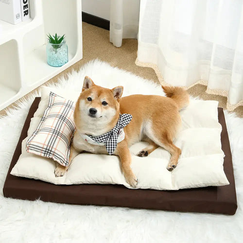 All In One Multi-Functional Water-Repellent Comfort Dog Bed With... main product image | Petix pet supplies for dogs and cats