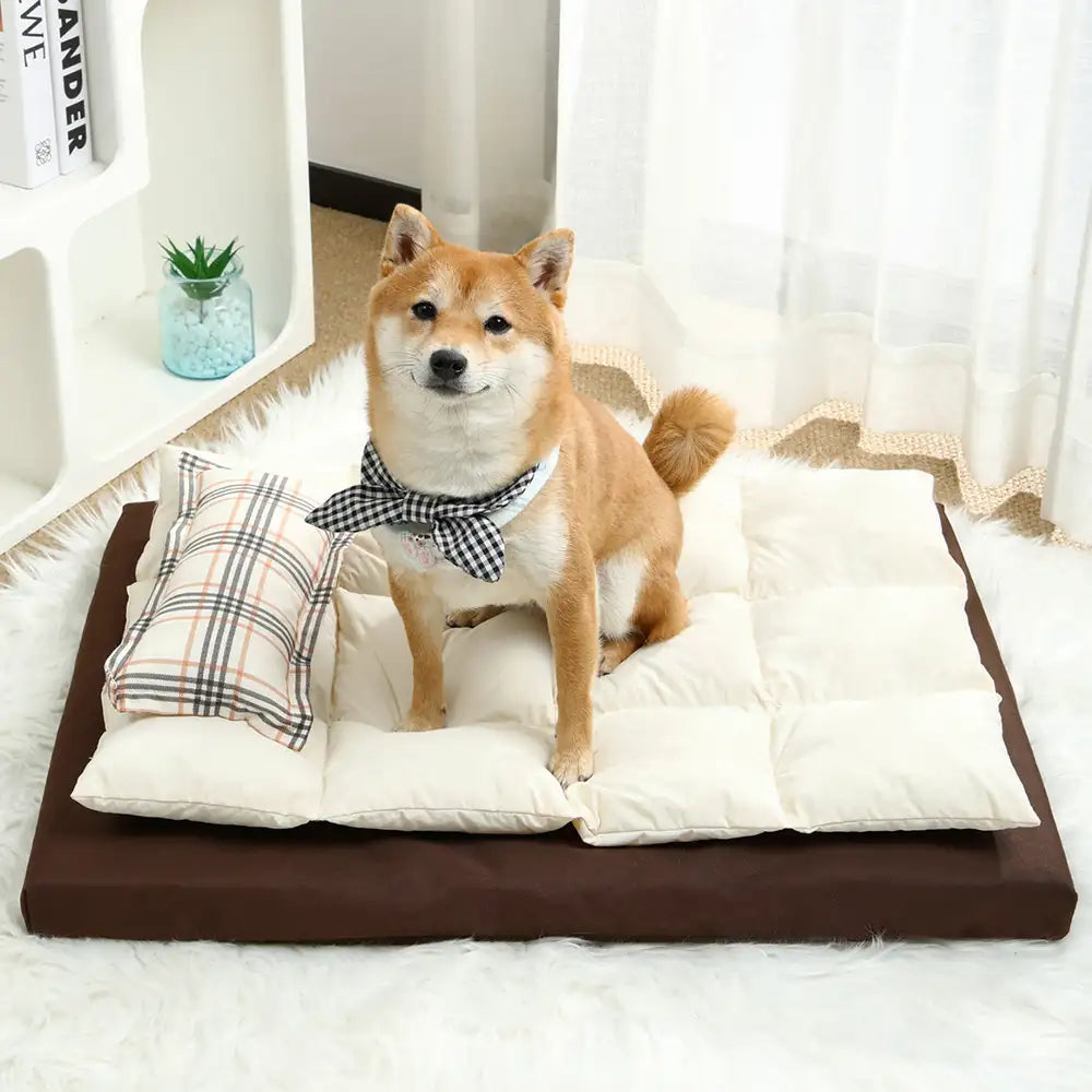 All In One Multi-Functional Water-Repellent Comfort Dog... lifestyle and size view 13 | Petix pet supplies for dogs and cats