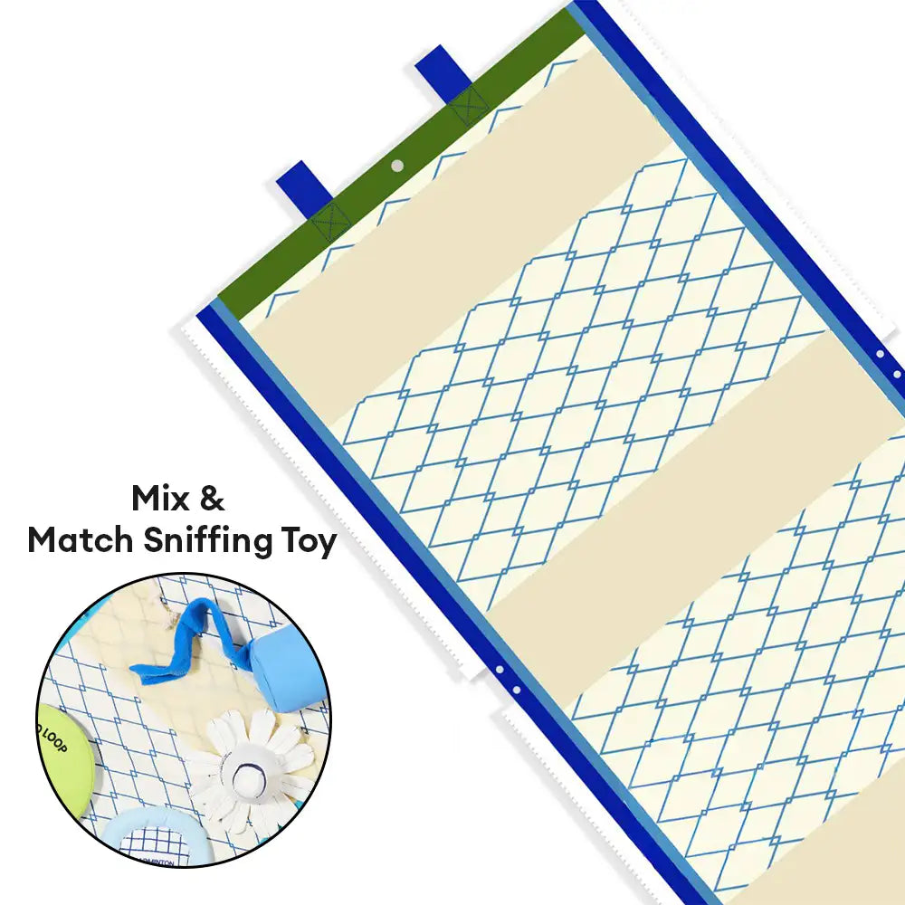 Beach Fun Series Ball Interactive Dog Toys - Dog Toys detail view 8 | Petix pet supplies for dogs and cats