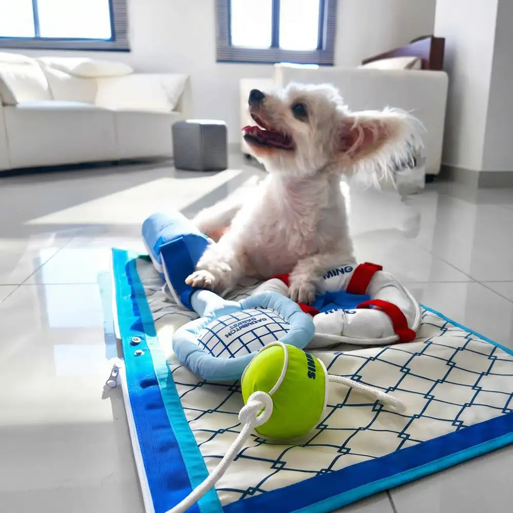 Beach Fun Series Ball Interactive Dog Toys - Dog Toys detail view 3 | Petix pet supplies for dogs and cats
