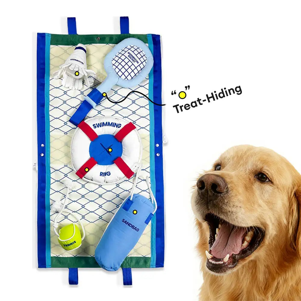 Beach Fun Series Ball Interactive Dog Toys - Dog Toys main product image | Petix pet supplies for dogs and cats