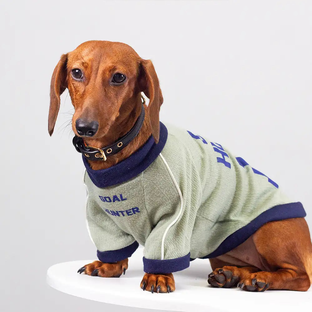 Breathable Thin Puppy Crewneck T-Shirt - Dog Apparel detail view 4 | Petix pet supplies for dogs and cats