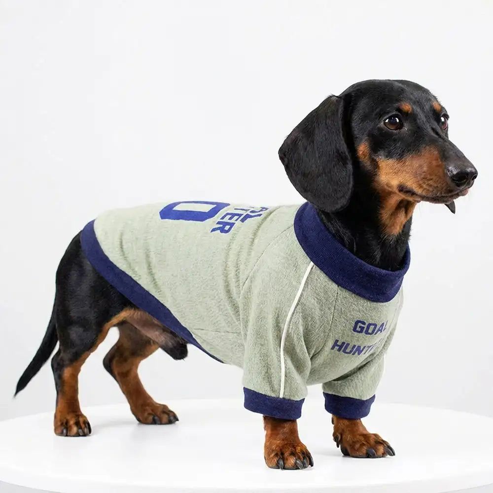 Breathable Thin Puppy Crewneck T-Shirt - Dog Apparel main product image | Petix pet supplies for dogs and cats