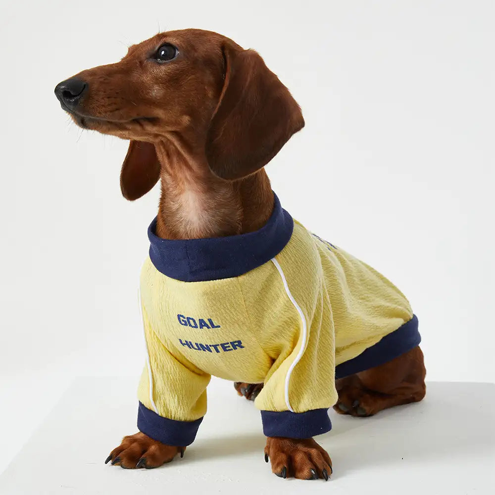 Breathable Thin Puppy Crewneck T-Shirt - Dog Apparel detail view 3 | Petix pet supplies for dogs and cats