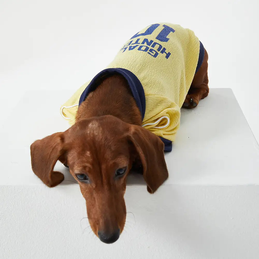Breathable Thin Puppy Crewneck T-Shirt - Dog Apparel detail view 9 | Petix pet supplies for dogs and cats