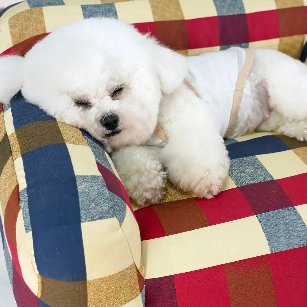 Cotton Canvas Fabric Breathable Scratch-Resistant Dog Sofa Bed - Dog... detail view 3 | Petix pet supplies for dogs and cats