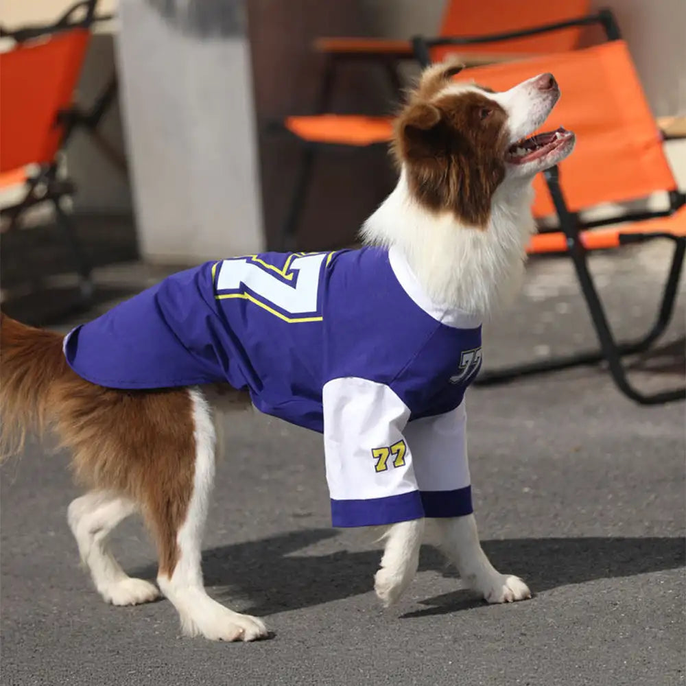 Crew Neck Breathable Washable All Breed Dog T-Shirt - Dog Apparel detail view 2 | Petix pet supplies for dogs and cats