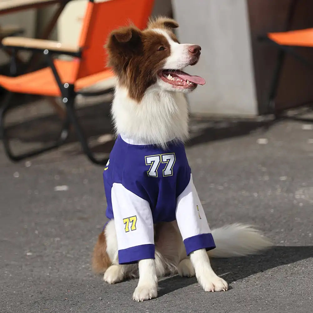 Crew Neck Breathable Washable All Breed Dog T-Shirt - Dog Apparel detail view 3 | Petix pet supplies for dogs and cats