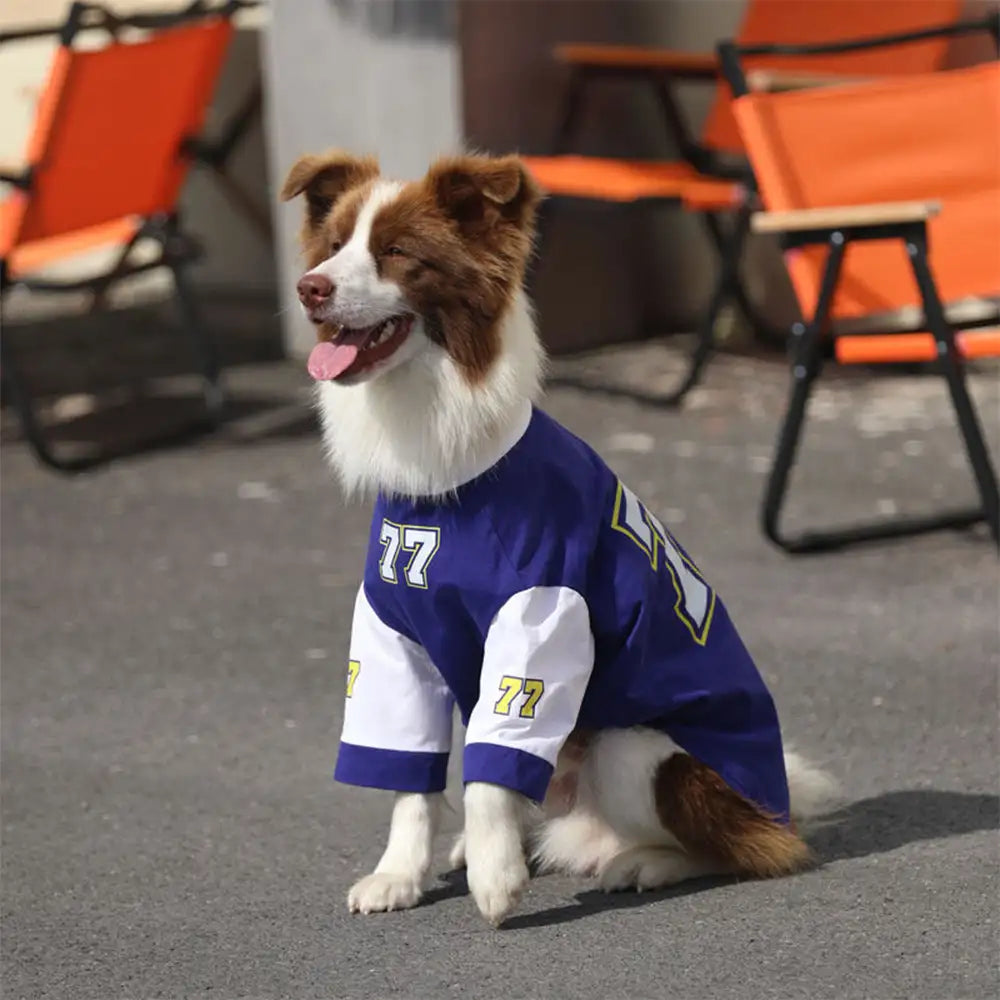 Crew Neck Breathable Washable All Breed Dog T-Shirt - Dog... lifestyle and size view 7 | Petix pet supplies for dogs and cats