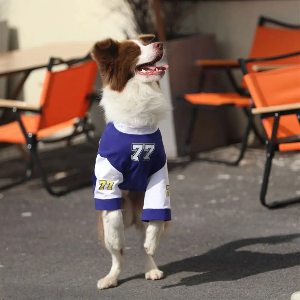 Crew Neck Breathable Washable All Breed Dog T-Shirt - Dog Apparel main product image | Petix pet supplies for dogs and cats