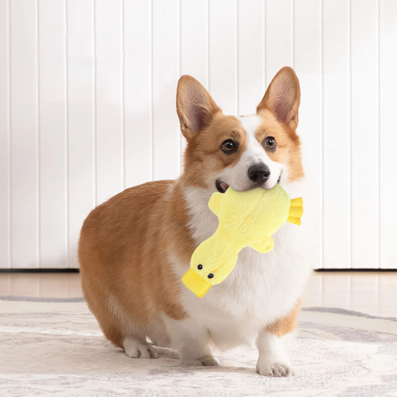 Cute Duck Plush Toy With Squeaker Dog Chew Toys - Dog Toys detail view 4 | Petix pet supplies for dogs and cats
