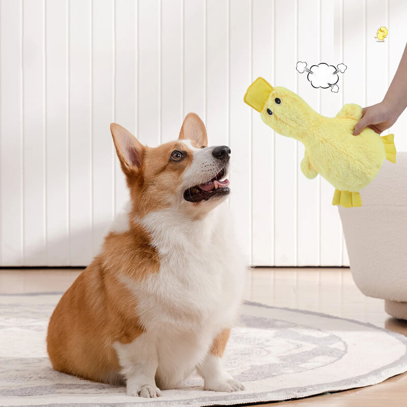 Cute Duck Plush Toy With Squeaker Dog Chew Toys - Dog Toys detail view 3 | Petix pet supplies for dogs and cats