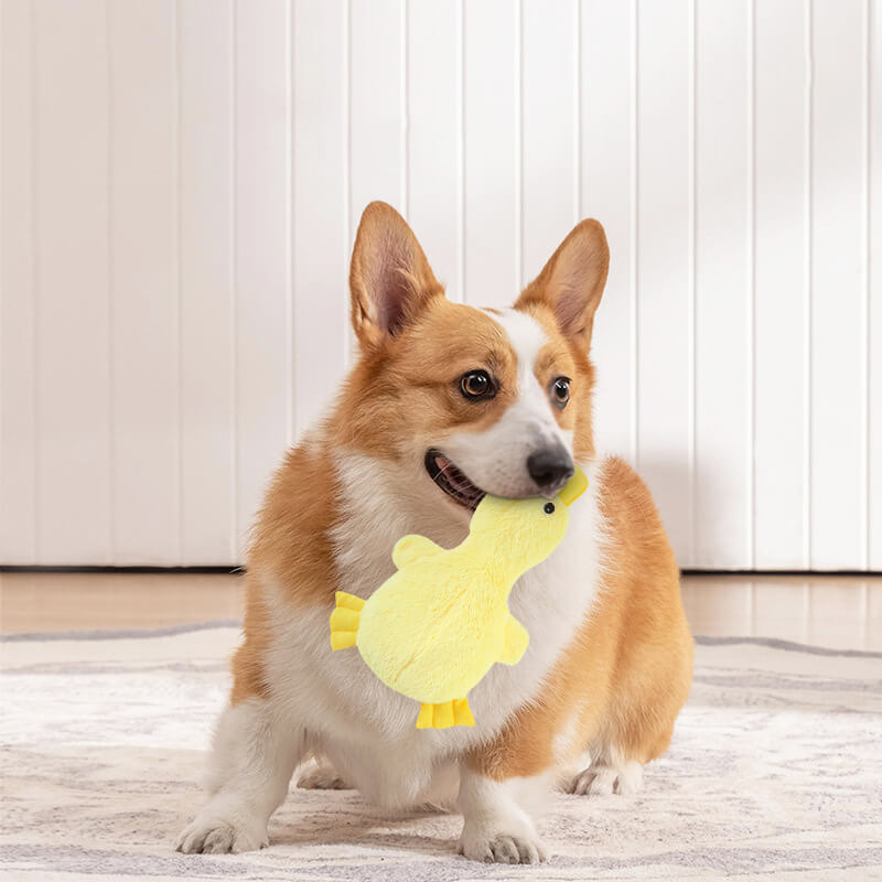 Cute Duck Plush Toy With Squeaker Dog Chew Toys - Dog Toys detail view 2 | Petix pet supplies for dogs and cats