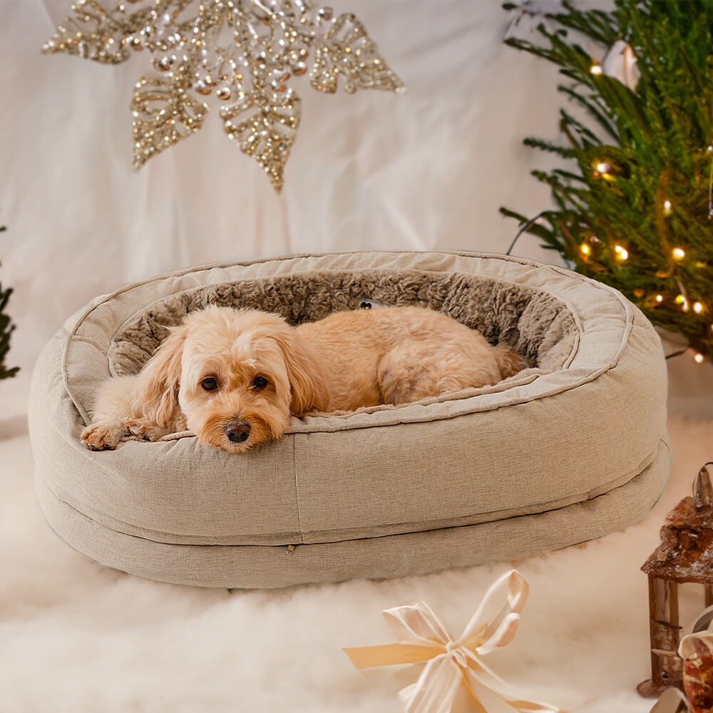Donut Orthopedic Outdoor Dog Bed - Dog Beds detail view 21 | Petix pet supplies for dogs and cats