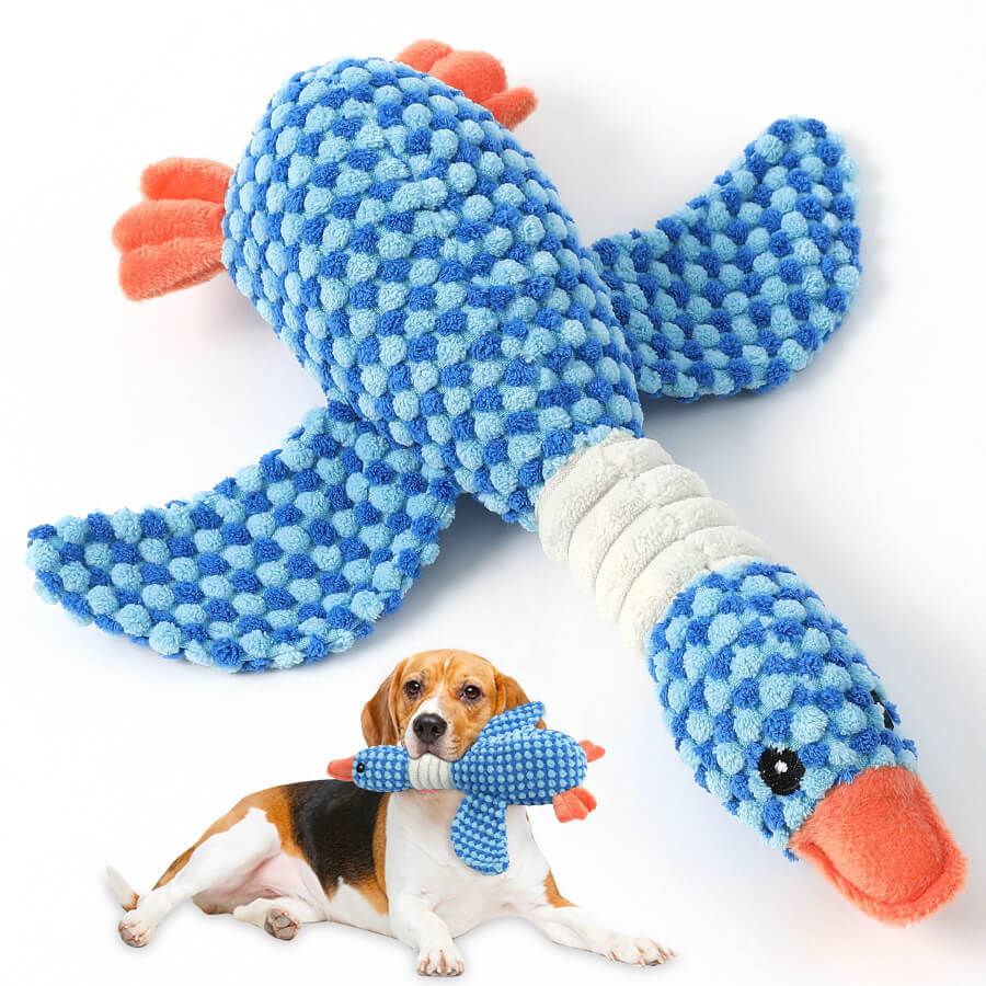 Dog Chew-Resistant Toy with Squeaker - Bird - Dog Toys lifestyle and size view 6 | Petix pet supplies for dogs and cats