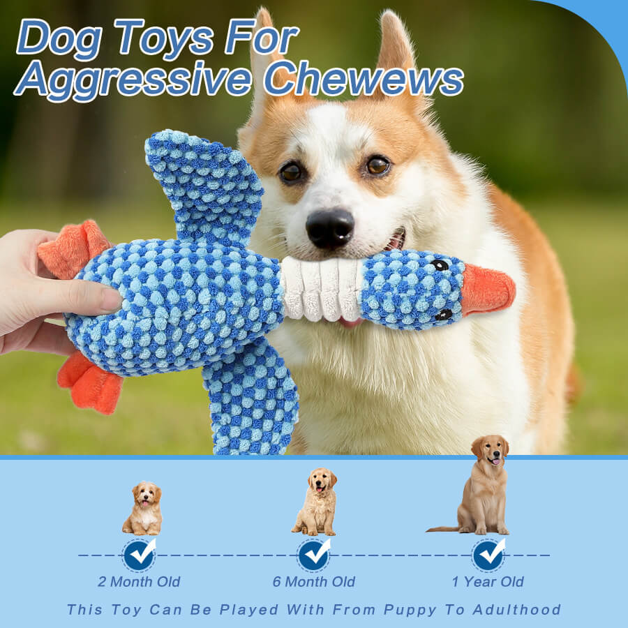 Dog Chew-Resistant Toy with Squeaker - Bird - Dog Toys detail view 4 | Petix pet supplies for dogs and cats