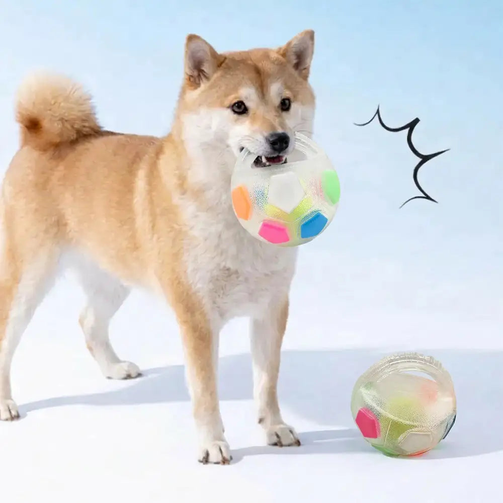 Dog Soccer Ball with Handle Floating Chew Toy - Dog Toys lifestyle and size view 11 | Petix pet supplies for dogs and cats