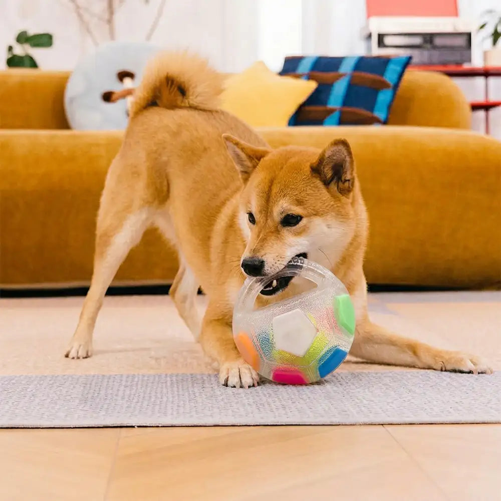 Dog Soccer Ball with Handle Floating Chew Toy - Dog Toys detail view 10 | Petix pet supplies for dogs and cats