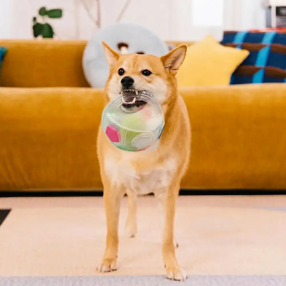 Dog Soccer Ball with Handle Floating Chew Toy - Dog Toys detail view 8 | Petix pet supplies for dogs and cats