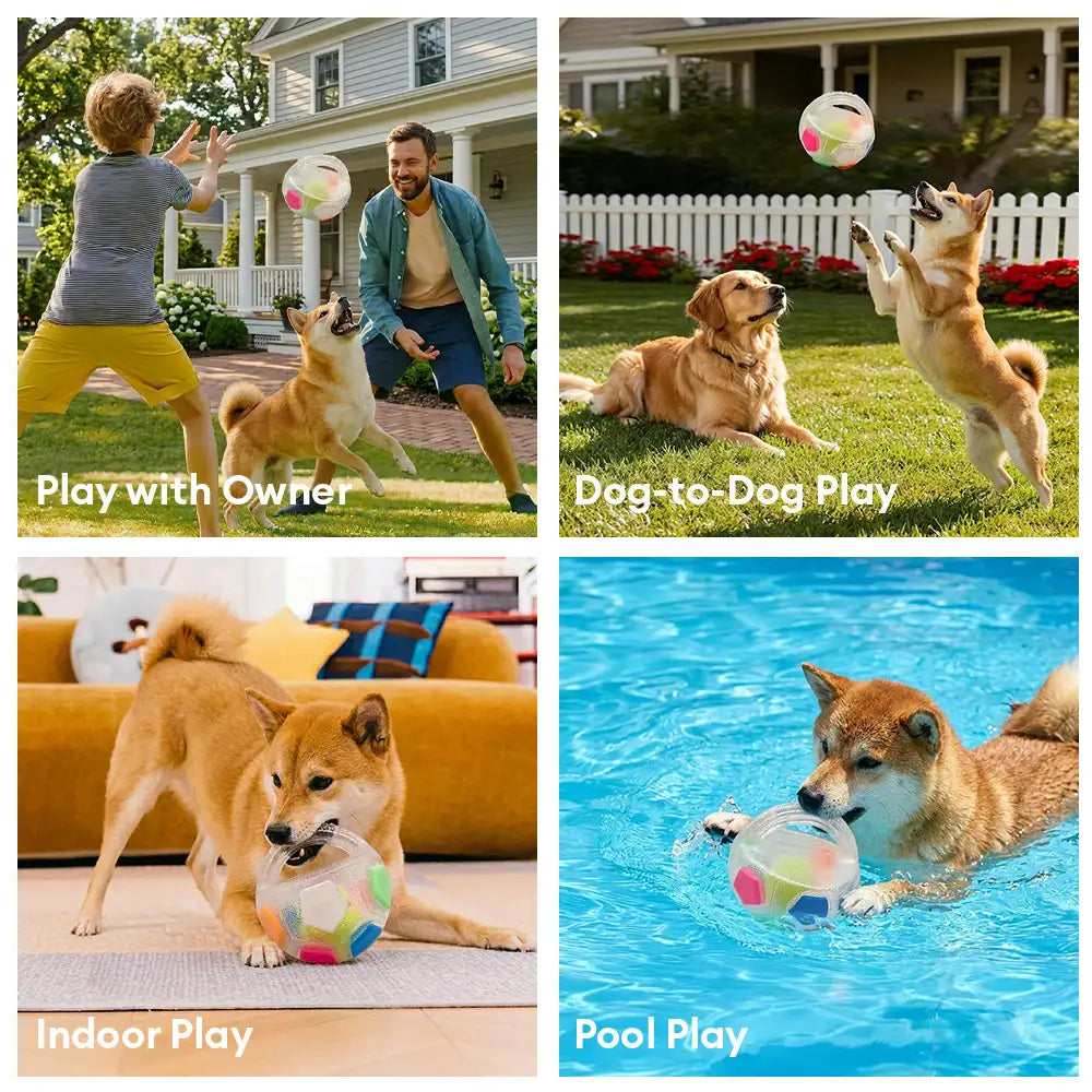 Dog Soccer Ball with Handle Floating Chew Toy - Dog Toys detail view 5 | Petix pet supplies for dogs and cats
