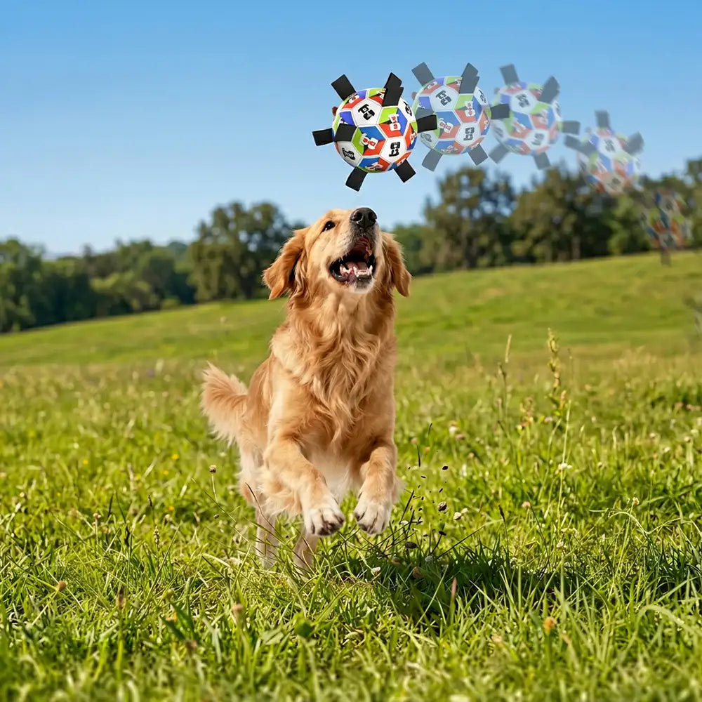 Dog Soccer Ball with Straps Interactive Toy - Dog Toys detail view 8 | Petix pet supplies for dogs and cats