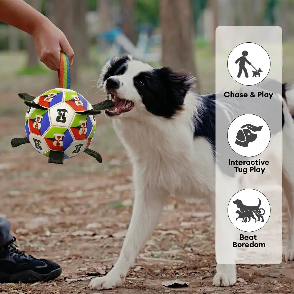 Dog Soccer Ball with Straps Interactive Toy - Dog Toys detail view 3 | Petix pet supplies for dogs and cats