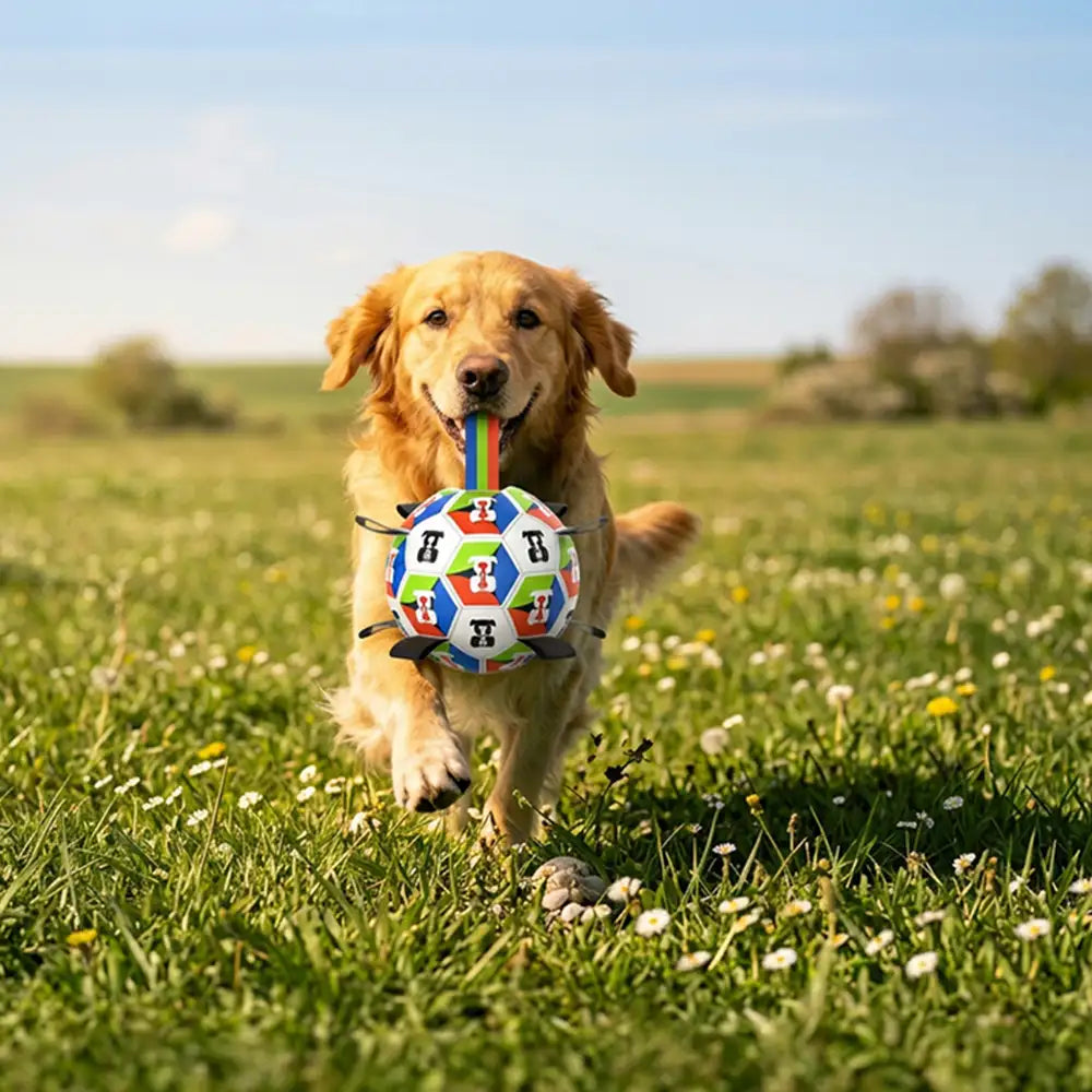 Dog Soccer Ball with Straps Interactive Toy - Dog Toys detail view 7 | Petix pet supplies for dogs and cats